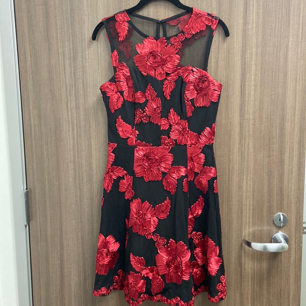 Nikibiki Black dress with Red embroidery Flowers.